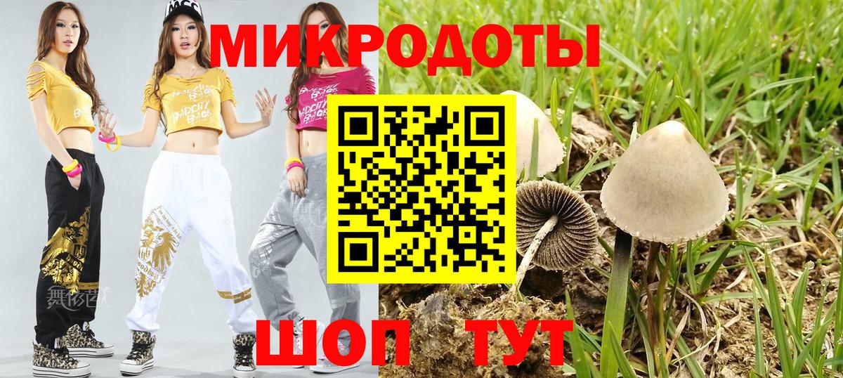 Галлюциногенные грибы прущие грибы Можайск