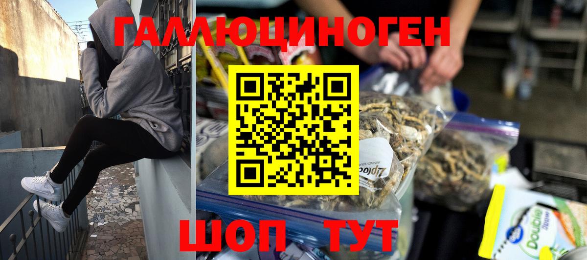 Можайск  Галлюциногенные грибы GOLDEN TEACHER  Вход с VPN 